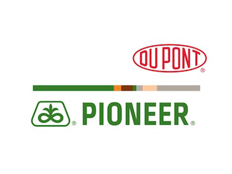 Pioneer